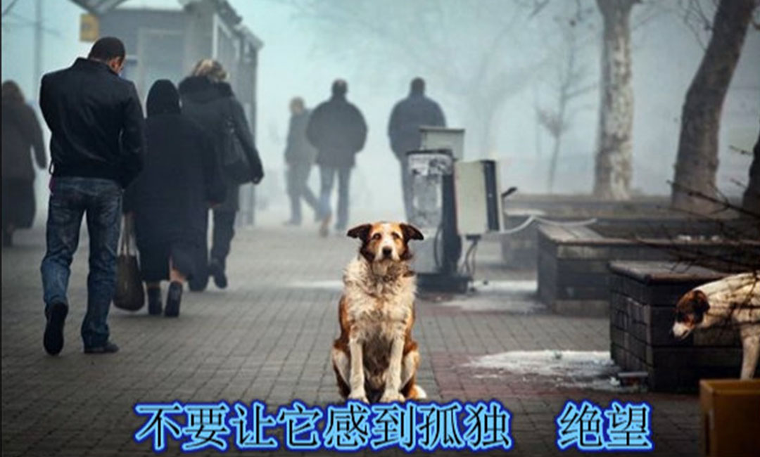 永州爱影圈微博微信转发案例