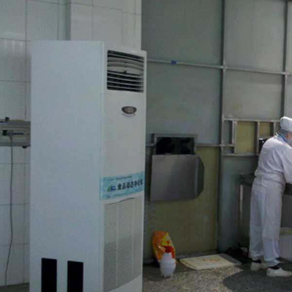 永州食品正负离子空气杀菌器